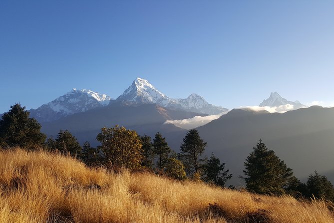 Ghorepani Poonhill Hiking Nepal - Key Highlights You’ll Feel on This Trek