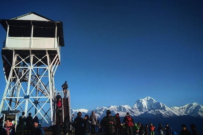 Ghorepani Poonhill Trek (6 Days) - Key Highlights You’ll Actually Care About