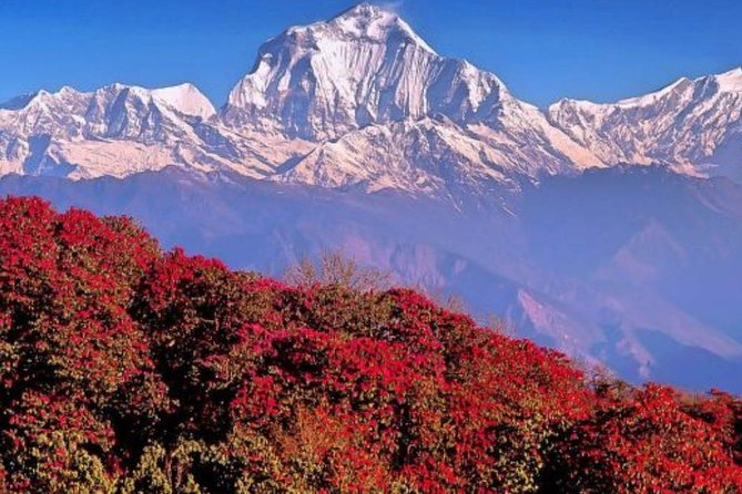 Ghorepani Poonhill Trek -8 Days - Getting Oriented in Kathmandu and Pokhara (Before the Trail Even Starts)