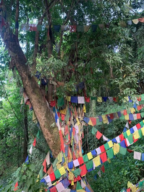 Healing Day tour - Shaman Healing - What people usually bring into the ritual (and why it matters)