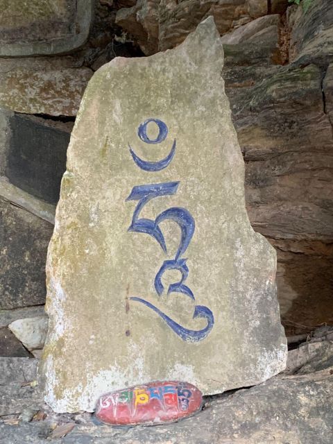 Healing Day tour - Shaman Healing - Price and value: what you’re paying for at $80