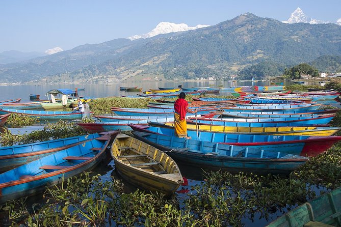 Highlights of Nepal Tour 10 Days - Chitwan Day 3: Tharu culture house and park-adjacent wildlife dreams