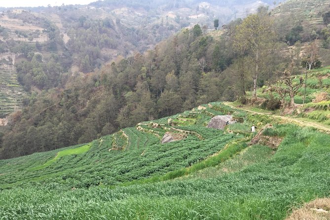 Hiking & city tour in Kathmandu with community Volunteering - Kali Temple, Dhulikhel Zipline, and the walk toward Namobuddha