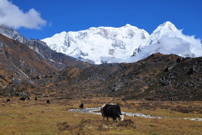 Kanchenjunga Circuit Trek - Getting There: Kathmandu Start and the 7:15am Reality