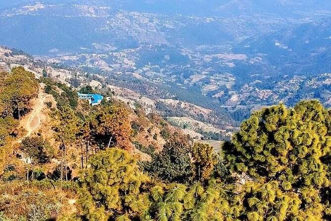 Kathmandu: 1 Day Hiking to Nagarjun Hill - Nagarjun Forest Reserve: wildlife chances inside the protected area