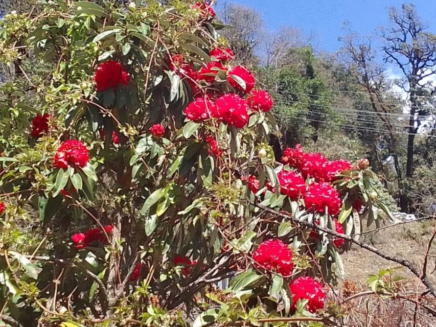 Kathmandu: 10-Day Adventurous Annapurna Circuit Trek - Key Things I’d Tell a Friend Before You Go