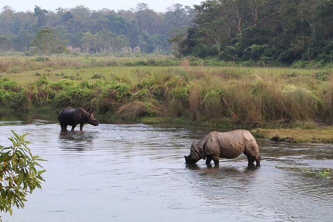 Kathmandu 2 Nights 3 Days Chitwan Jungle Safari Tour - Kathmandu-to-Chitwan: getting you into the jungle mood fast