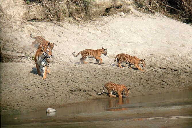Kathmandu 2 Nights 3 Days Chitwan Jungle Safari Tour - Tharu village tour and dance performance: culture with a purpose