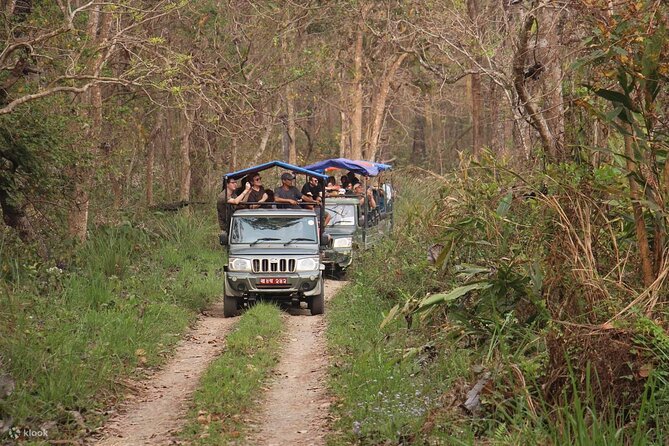 Kathmandu 2 Nights 3 Days Chitwan Jungle Safari Tour - Hotel base and meals during the Chitwan stay: comfort that keeps you going
