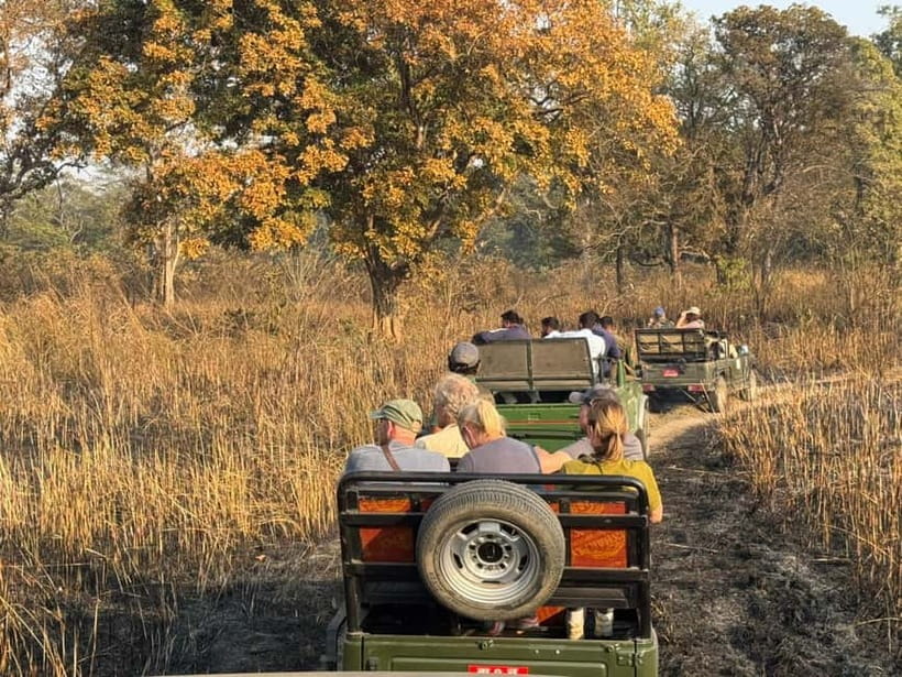 Kathmandu: 3-Day Chitwan Safari Tour with Hotel Transfers - Day-by-Day: How the Safari Rhythm Plays Out