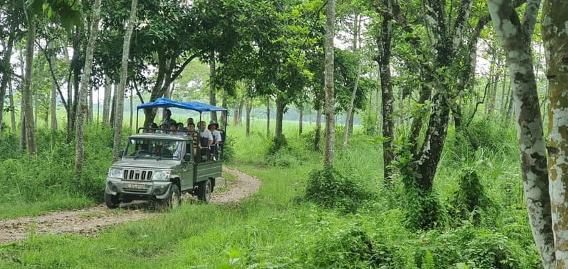 Kathmandu: 3-Day Chitwan Safari Tour with Hotel Transfers - Tharu Village Tour and Dance: Culture That Adds Meaning