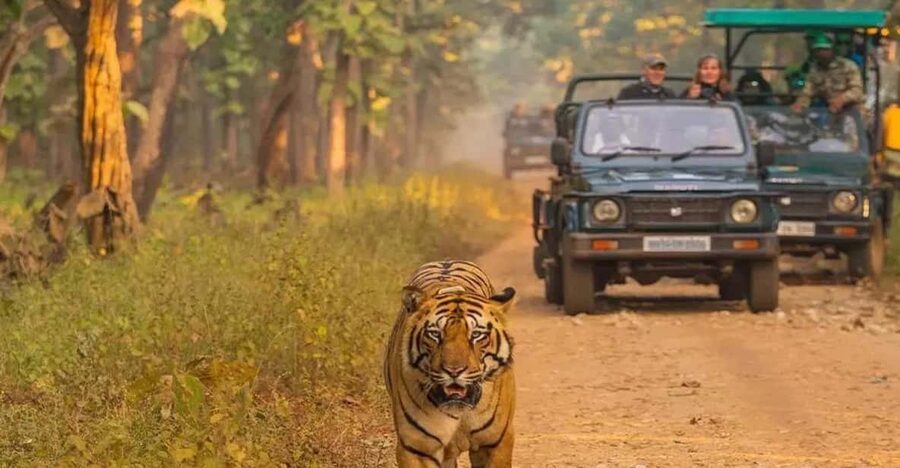 Kathmandu: 4-Day Private Chitwan National Park Safari Tour - Key highlights