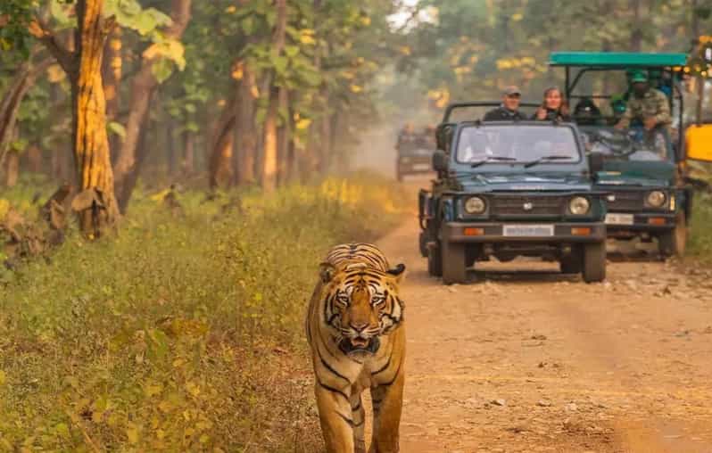 Kathmandu: 4-Day Private Chitwan National Park Safari Tour - A Quick Note on Comfort and Planning