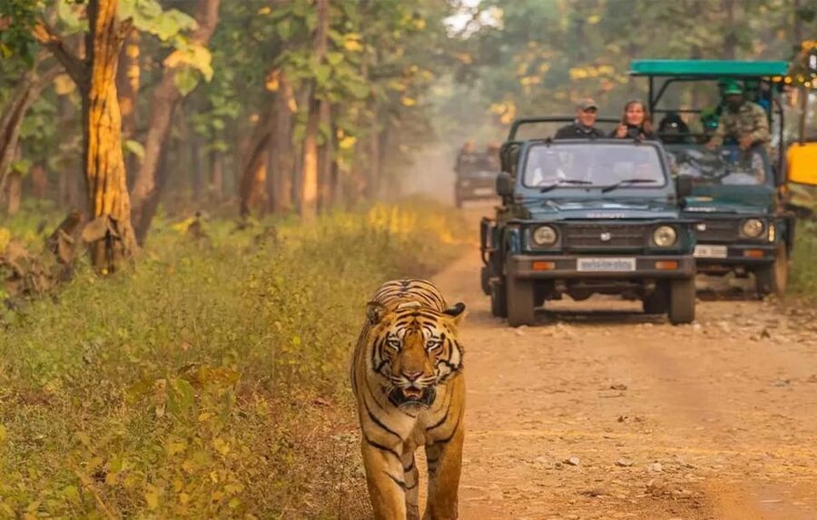 Kathmandu: 4-Day Private Chitwan National Park Safari Tour - Elephant Breeding Center + Lunch Break Insight: Conservation With Context
