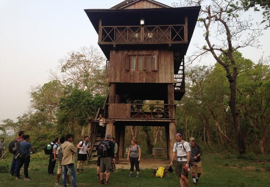 Kathmandu: 4-Day Private Chitwan National Park Safari Tour - Day 3: Your 20,000 Lake Choice (Jungle Walk or Cycling Tour)