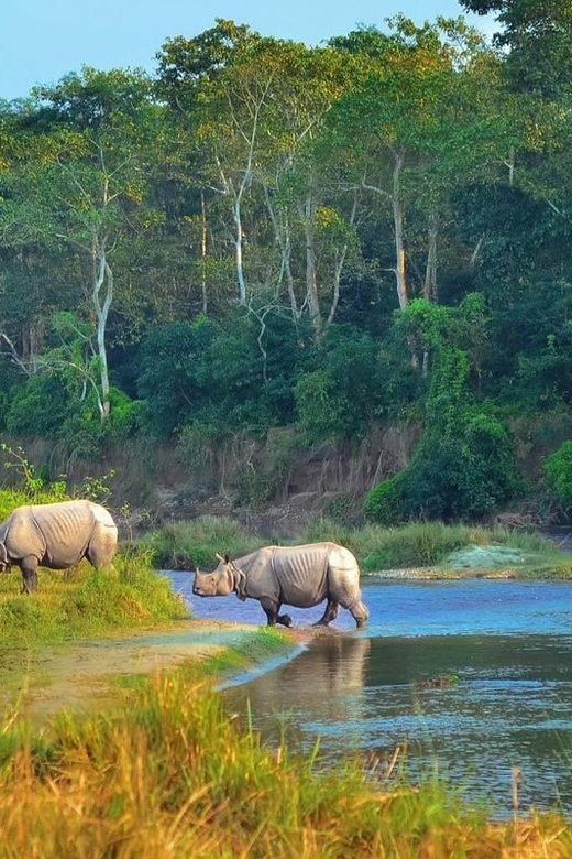 Kathmandu: 4-Day Private Chitwan National Park Safari Tour - Who This Safari Works Best For