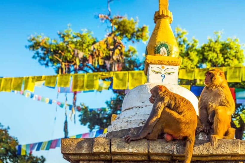 Kathmandu 4-Heritage Sites Tour - Swayambhunath Monkey Temple: stupa shrines and valley panoramas
