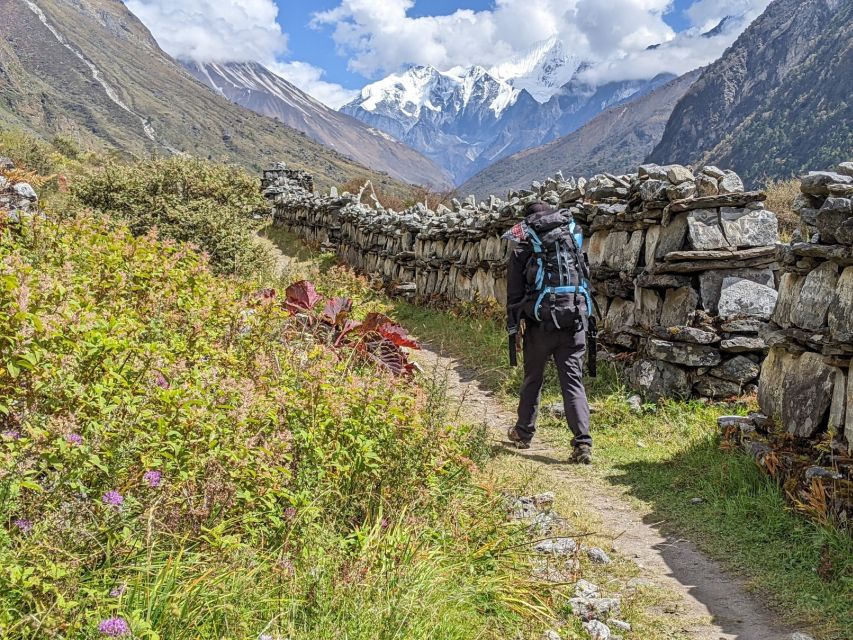 Kathmandu: 6-Day Limitless Langtang Trek - Price and value: what you’re paying for (and what you aren’t)