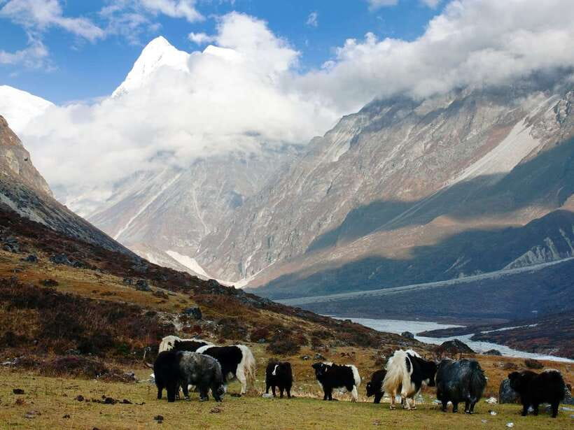Kathmandu: 6 Days Langtang Valley Trek with Kyanjin Ri - Altitude and safety: how to manage AMS risk without getting scared