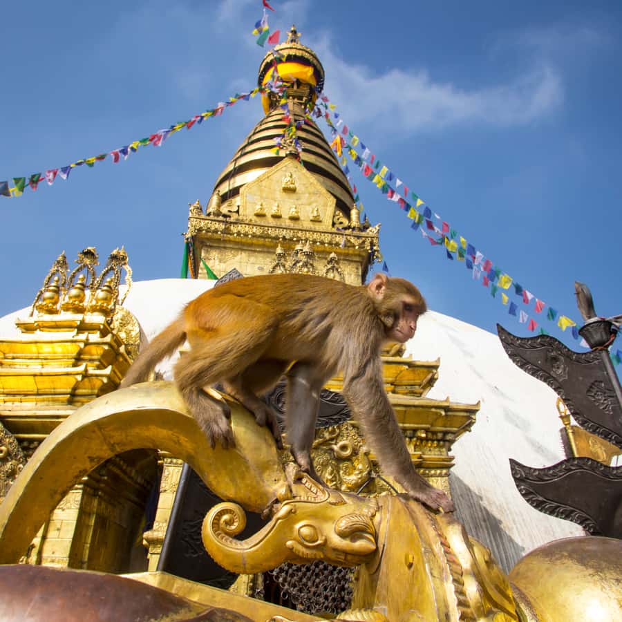 Kathmandu: 7 UNESCO Sites with Lunch - Patan Durbar Square: where Hindu and Buddhist design talk to each other