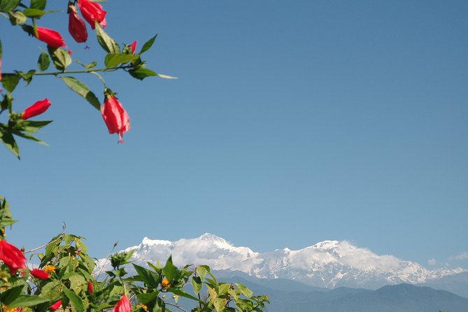 Kathmandu and Pokhara: A Journey Through Nepal's Cultural and Natural Wonders - Kathmandu and Pokhara by Road: The big idea