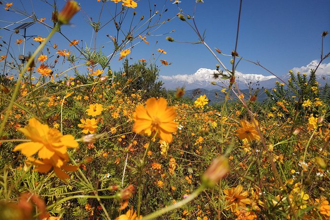 Kathmandu and Pokhara: A Journey Through Nepal's Cultural and Natural Wonders - Pokhara’s temples and Seti river gorge: more than just postcards