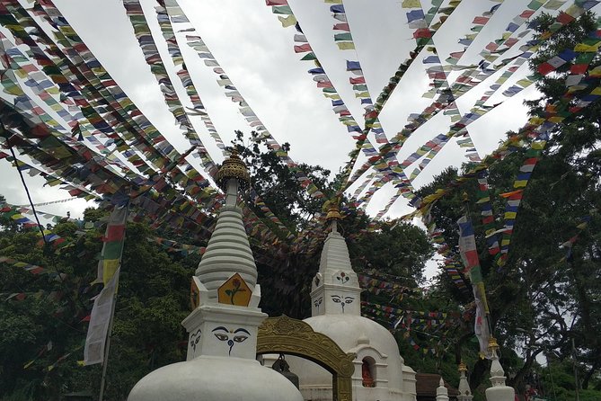 Kathmandu and Pokhara: A Journey Through Nepal's Cultural and Natural Wonders - Price and logistics: is $923 good value?