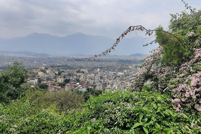 Kathmandu Chandrigiri Hill Cable Car & Monkey Temple UNESCO Tour - Thanka Panting school visit: a short culture stop you can actually use