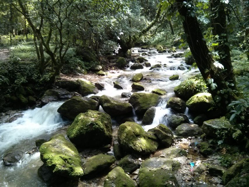 Kathmandu: Chisapani Nagarkot 3-Days 2-Nights Trek - Chisapani: where the views, villages, and lodge break actually matter