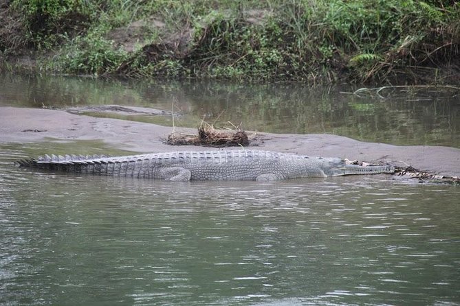 Kathmandu Chitwan Pokhara Tour - Five Days, Three Regions: The Kathmandu–Chitwan–Pokhara Flow