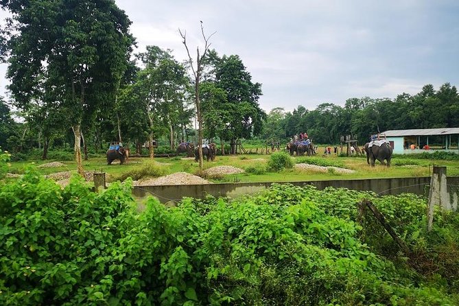 Kathmandu Chitwan Pokhara Tour - Day 5 at Tribhuvan Airport: Ending Clean, Not Chaotic