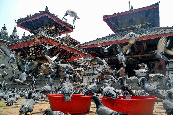 Kathmandu Day Tour - Price and Value: Does $85.34 Make Sense?