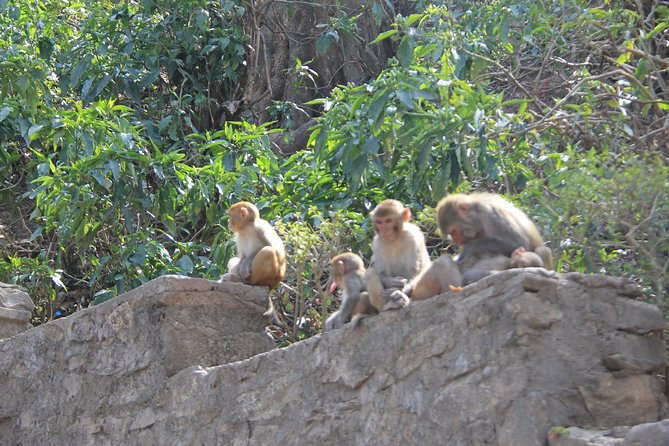 Kathmandu Day Tour - Food, breaks, and practical pacing for a 7 to 8 hour day