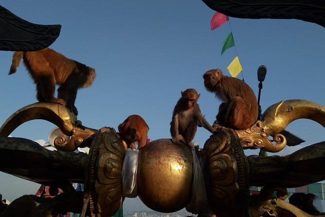 Kathmandu Heritage Tour (Full Day) - Workshops, artisan interaction, and a healing session: the human side of heritage