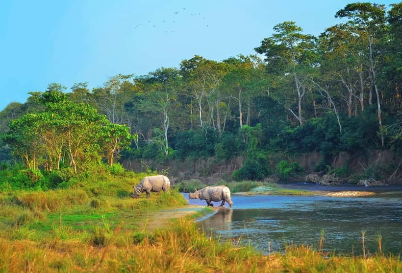 Kathmandu/Pokhara: 3 Day Chitwan Jungle Safari Tour - Key points to know before you go