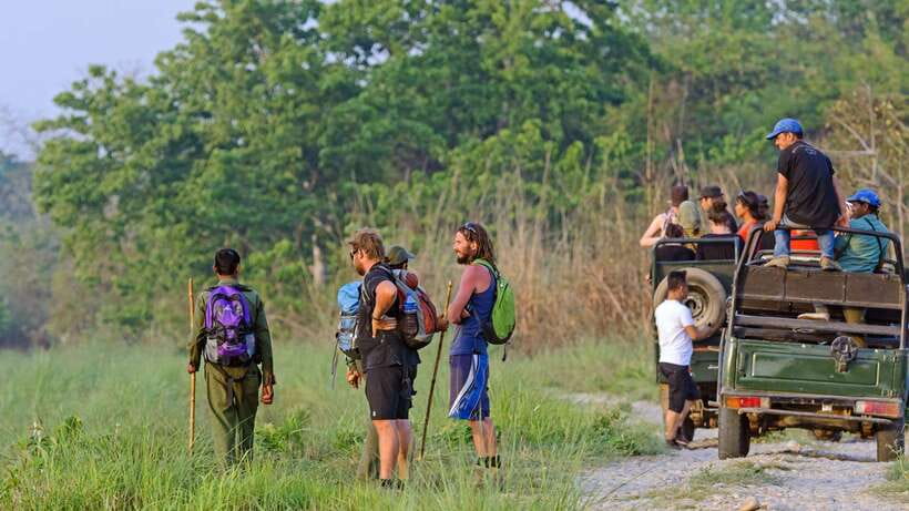 Kathmandu/Pokhara: 3 Day Chitwan Jungle Safari Tour - Day 2: Rapti River Canoe, Jungle Walk, Birding, and the Big Jeep Safari
