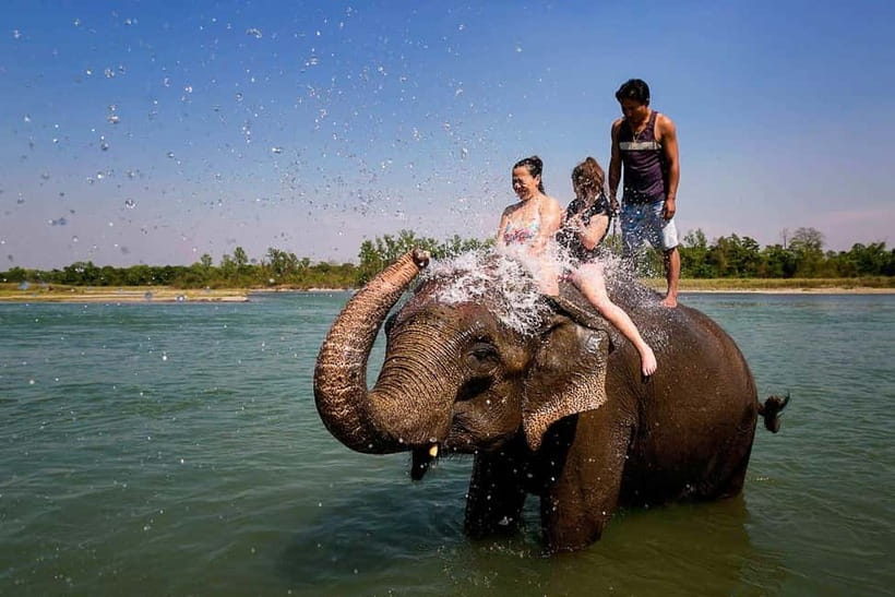 Kathmandu/Pokhara: 3 Day Chitwan Jungle Safari Tour - Price and Value: What $129 Buys You in the Real World