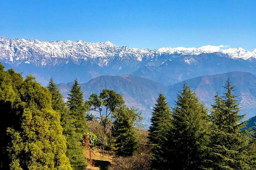 Kathmandu: Shivapuri Day Hike with Lunch - A Quick Escape to Shivapuri’s 2,732m Summit Views