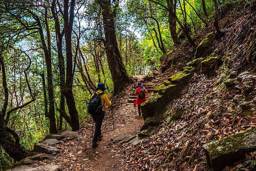 Kathmandu: Shivapuri Day Hike with Lunch - Guides and Safety: The Reason This Hike Gets 4.9 Stars