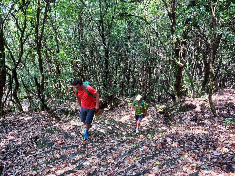 Kathmandu: Shivapuri Day Hike with Lunch - Who Should Book This Shivapuri Hike?