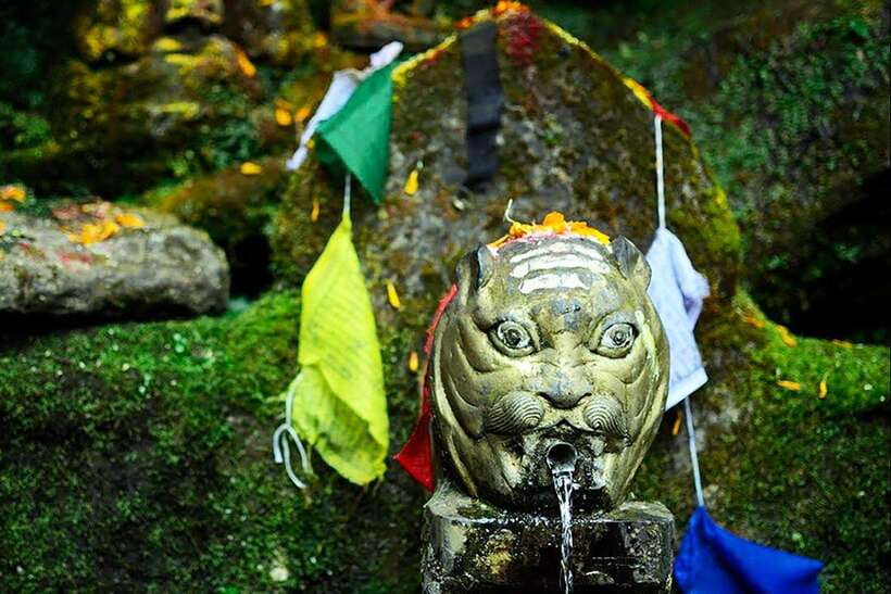 Kathmandu: Shivapuri Day Hike with Lunch - The Hike Through Shivapuri National Park: Forest, Waterfalls, and Real Steps