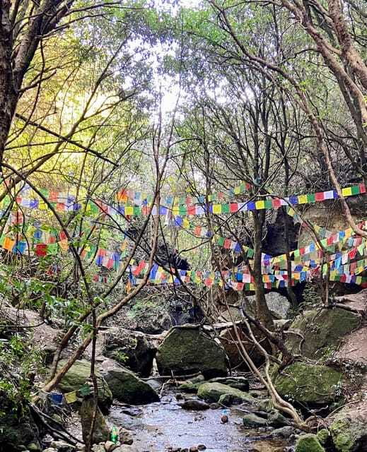 Kathmandu: Shivapuri Hill Day Hike with Lunch box - Reaching the top: Kathmandu Valley and Himalayan range views