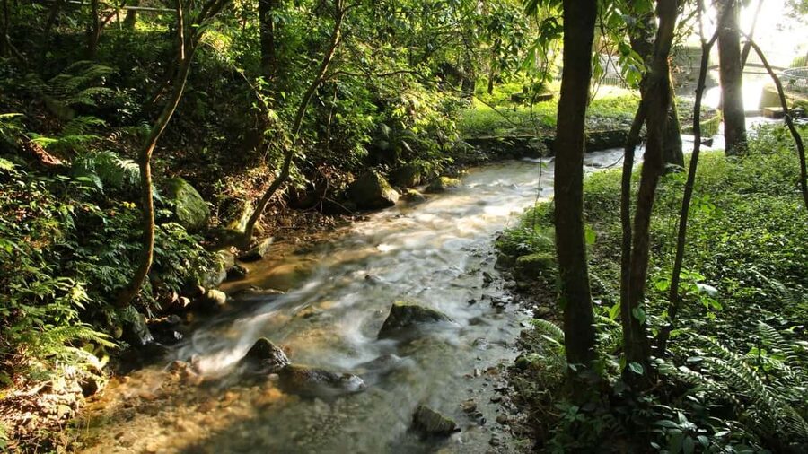 Kathmandu: Shivapuri National Park Hiking Day Trip - Guide quality, pace, and support: the variable you should manage