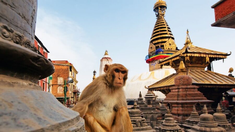 Kathmandu : Swambhunath & Durbar Square Guided Half Day Tour - Kathmandu Durbar Square in 75 minutes: palaces, temples, and royal stories