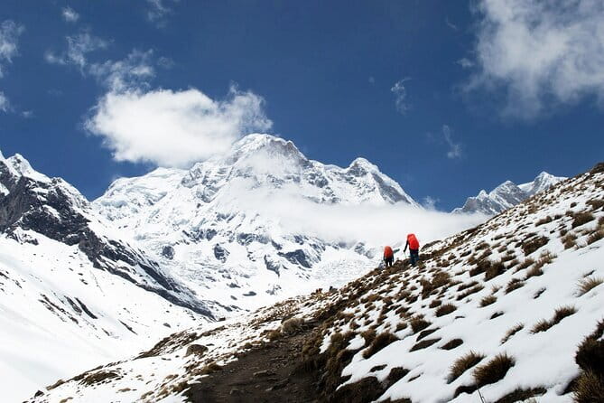 Kathmandu to Annapurna Base Camp (ABC) 5-Day Trek - Sinuwa to Deurali: Tea Houses, Waterfalls, and Dense Forest Steps