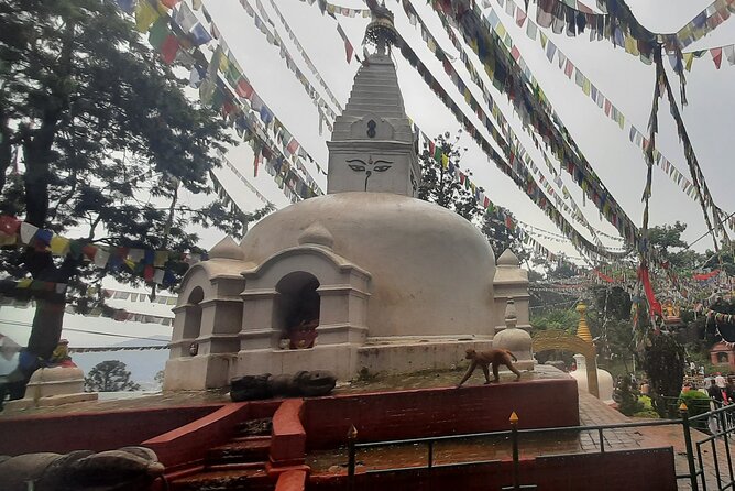 Kathmandu Top 4 or 2 UNESCO World Heritage Sites Day Tour - Price and What Your $40 Covers (and What Costs Extra)