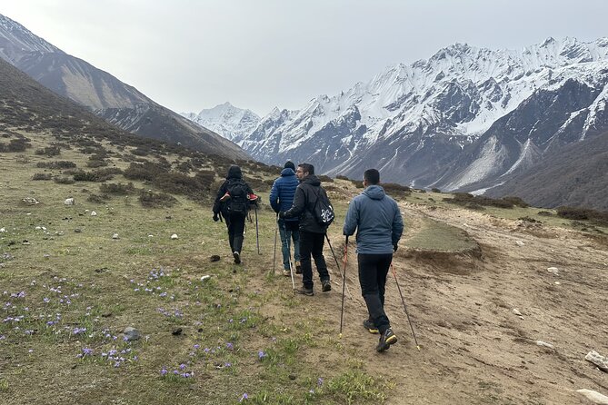 Langtang Trekking - Langtang, Gosaikunda, and Chisopani: the trek’s big promise