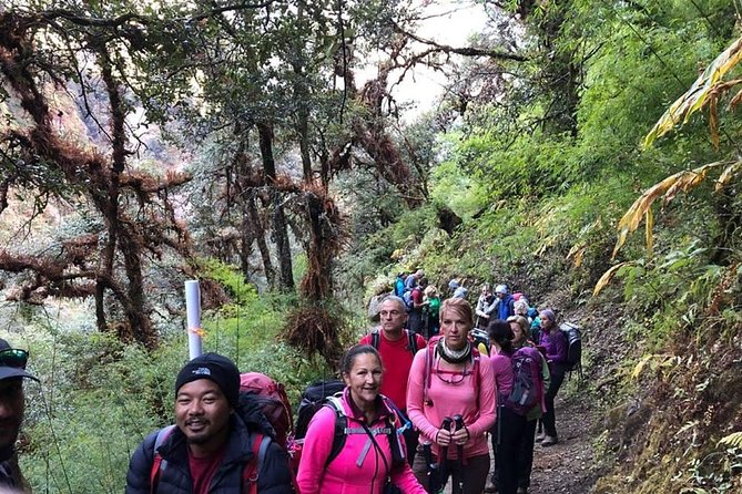 Langtang Valley Trek - Weather, pace, and fitness: what “moderate” really feels like