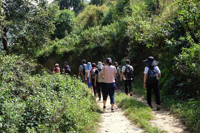 Luxury Changu Nagarkot Hike with Overnight Stay & Bhaktapur Tour - The Nagarkot hike: about 4 hours of gradual uphill and real viewpoints