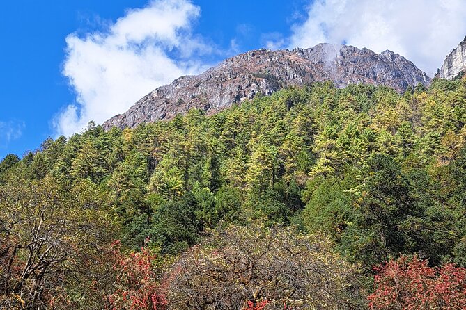 Makalu Base Camp Trek - Forest and meadow days: pushing uphill without overcooking it